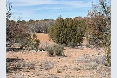 58102 Bridge Canyon Road, Seligman, AZ 86337 - Photo 9