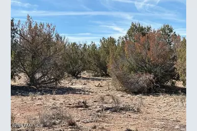 58102 Bridge Canyon Road, Seligman, AZ 86337 - Photo 15