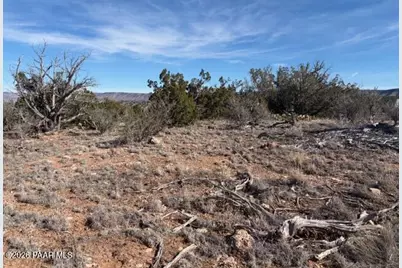 55991 N Bridge Canyon Parkway, Seligman, AZ 86337 - Photo 3