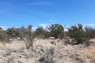 29118 W Stagecoach Ln, Seligman, AZ 86337 - Photo 1