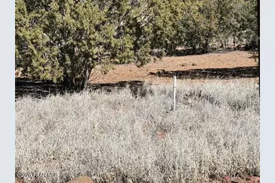 3963 Gerry Lane, Williams, AZ 86046 - Photo 9