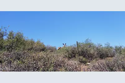 14909 E State Route 169, Dewey-Humboldt, AZ 86327 - Photo 39