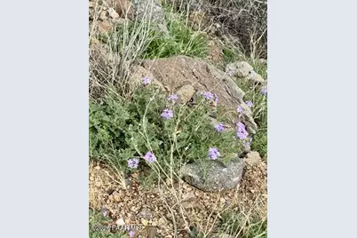 00 Love (Lot E) Lane, Prescott, AZ 86305 - Photo 7