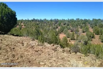 357 Lucky Lane, Ash Fork, AZ 86320 - Photo 11