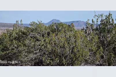 53302 Shadow Mountain Parkway, Seligman, AZ 86337 - Photo 15