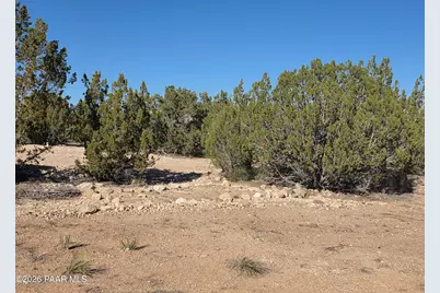 53302 Shadow Mountain Parkway, Seligman, AZ 86337 - Photo 35