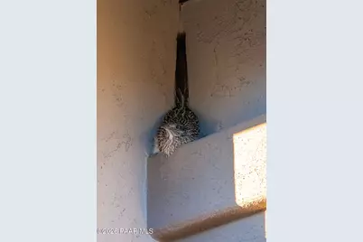 707 Lunar View Way, Chino Valley, AZ 86323 - Photo 55