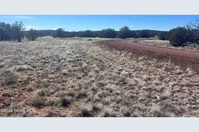 878 Fairview Drive, Williams, AZ 86046 - Photo 3