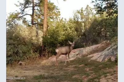 1963 Idylwild Road, Prescott, AZ 86305 - Photo 53