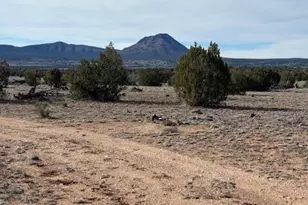 Tbd Daytona Blvd, Ash Fork, AZ 86320 - Photo 1