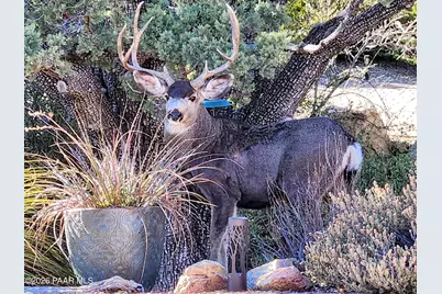 1351 Indian Trail, Prescott, AZ 86305 - Photo 53