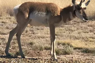 11911 N Tevy Trail, Prescott Valley, AZ 86315 - Photo 49