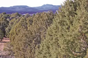 7051 Dillon Wash Rd, Prescott, AZ 86305 - Photo 15