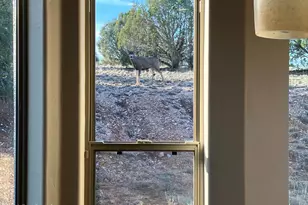 7051 Dillon Wash Rd, Prescott, AZ 86305 - Photo 39