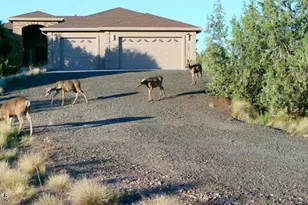 7051 Dillon Wash Rd, Prescott, AZ 86305 - Photo 1