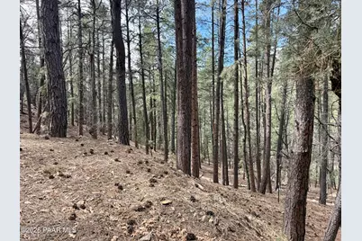 5445 E Gold Pan Way, Prescott, AZ 86303 - Photo 9