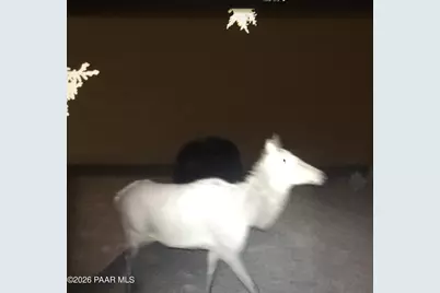 5479 N Ten Tanks Road, Williams, AZ 86046 - Photo 3