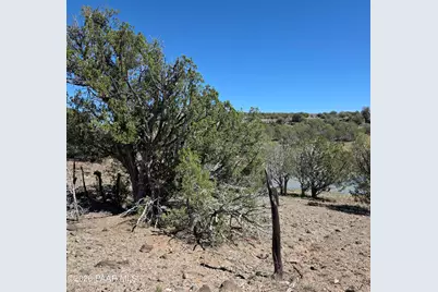 5479 N Ten Tanks Road, Williams, AZ 86046 - Photo 5