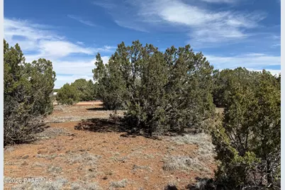 8389 Bear Meadow Drive, Show Low, AZ 85901 - Photo 7