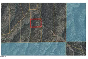 43276 N Hallelujah Ln, Seligman, AZ 86337 - Photo 35