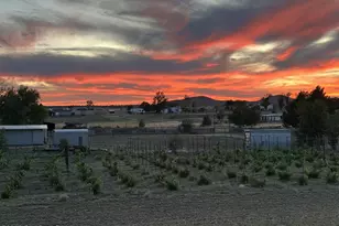 445 S Bella Rd, Chino Valley, AZ 86323 - Photo 7