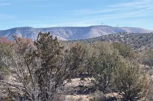 56800 Bearclaw Rd, Seligman, AZ 86337 - Photo 1