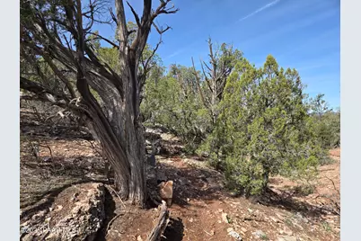 390 Haywire Road, Ash Fork, AZ 86320 - Photo 13