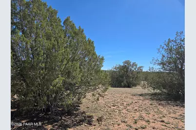 390 Haywire Road, Ash Fork, AZ 86320 - Photo 9