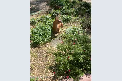 700 White Spar Road #36, Prescott, AZ 86303 - Photo 5