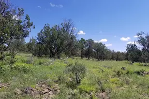 1550 W Joseph Dr, Ash Fork, AZ 86320 - Photo 1