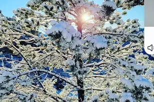 1380 Suomi Dr, Prescott, AZ 86303 - Photo 19