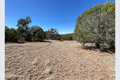 32957 W Bucks Road, Seligman, AZ 86337 - Photo 39