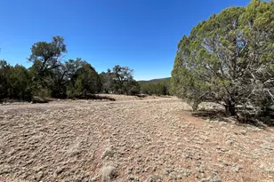 32957 W Bucks Rd, Seligman, AZ 86337 - Photo 39