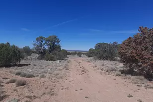 37500 W Bullet Rd, Seligman, AZ 86337 - Photo 37