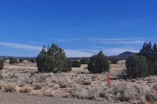 37500 W Bullet Rd, Seligman, AZ 86337 - Photo 29