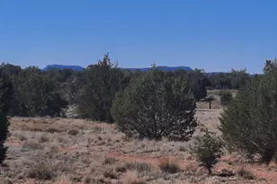 37500 W Bullet Rd, Seligman, AZ 86337 - Photo 35