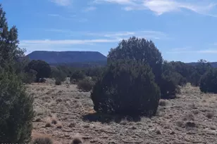 37500 W Bullet Rd, Seligman, AZ 86337 - Photo 33