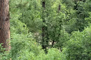 8000 S Breezy Pine Rd, Mayer, AZ 86333 - Photo 49