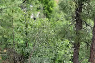 8000 S Breezy Pine Rd, Mayer, AZ 86333 - Photo 47