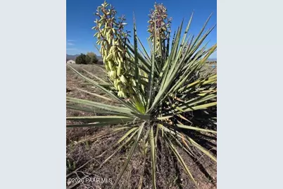 805 W Eleanor Road, Paulden, AZ 86334 - Photo 43