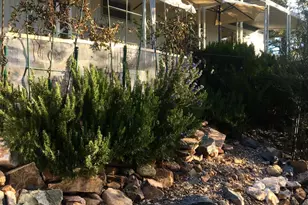 700 White Spar Rd, Prescott, AZ 86303 - Photo 13