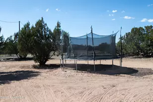 27585 W El Oro Dr, Seligman, AZ 86337 - Photo 47