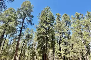 3200 E Misty Mountain Loop, Prescott, AZ 86303 - Photo 1