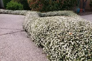 5721 N Honeysuckle Rd, Prescott, AZ 86305 - Photo 85