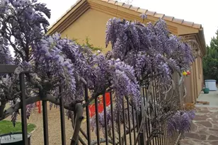 5721 N Honeysuckle Rd, Prescott, AZ 86305 - Photo 95