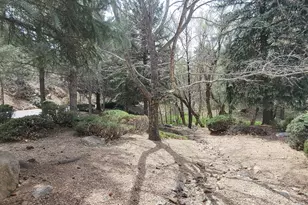 298 Mahogany Ln, Prescott, AZ 86303 - Photo 35