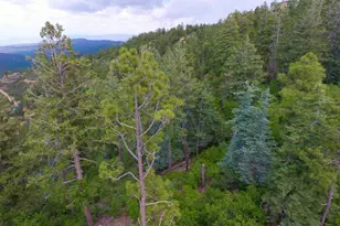 7740 S Snowdrift Mine Rd, Prescott, AZ 86303 - Photo 1