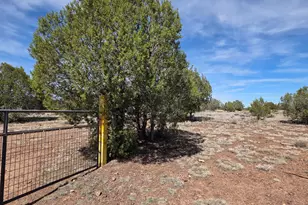 3042 W Jessie Wy, Williams, AZ 86046 - Photo 11