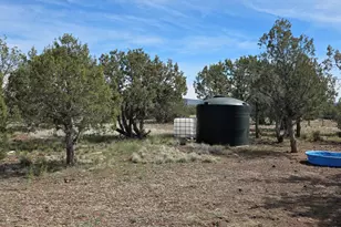 3042 W Jessie Wy, Williams, AZ 86046 - Photo 3