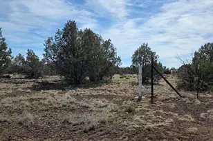 3042 W Jessie Wy, Williams, AZ 86046 - Photo 15